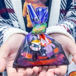 halloween bags and twist tie 6pcs