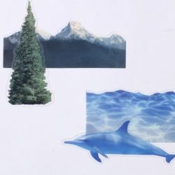 Clear Book Mark Set 