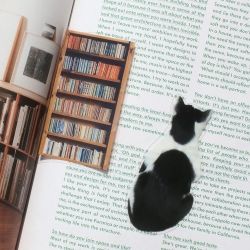 Clear Book Mark Set 