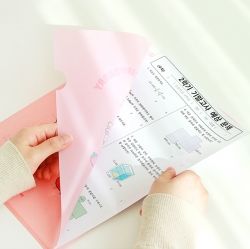 Elementary School Alpha Girl L-Holder 1ea, for A4 Papers 