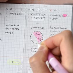 Spring Index Book Weekly Planner - Standard, Undated  