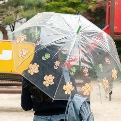 Romane Clear umbrella