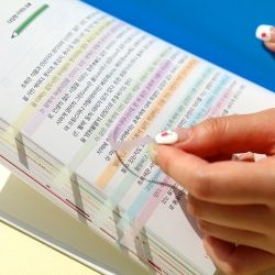 Long Index Stickers, Highlighter Tape, Page Markers 