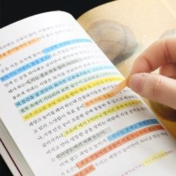 Index Highlighter Sticky Flag - Long POP