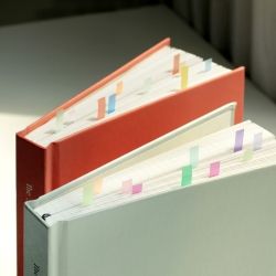 Index Highlighter Sticky Flag - Long POP