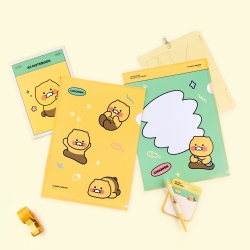Choonsik L-Holder, 10pcs 1set