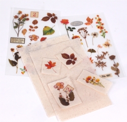 Rub-on Sticker_Botanical Orange