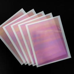 Hologram Sleeve, Random Color
