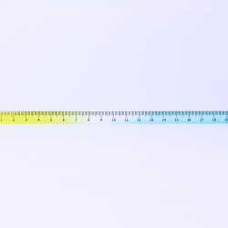 Ruler Daylight