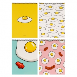 Spring Note Fry, Set of 5pcs