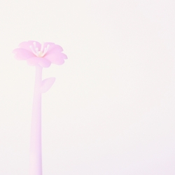 Gel Pen_Cherry Blossom