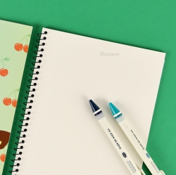 Pokemon Mini Blank Notebook 