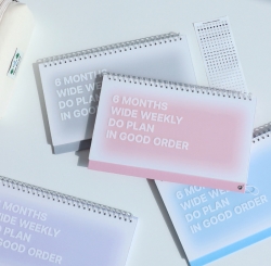 DO Weekly 6 Month Tabletop desk Study Planner Sticker Set