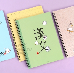 Chinese Characters Spring Note, Random