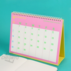 2025 Color Holic Pop Desk Calendar