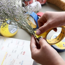Masking Tape  48mmX10m