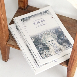 A transcription note - The Snow Queen