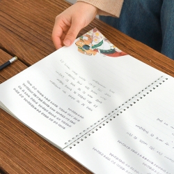 A transcription note - The Snow Queen