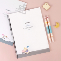 E-rinubgae Spring Note, Set of 5, Random