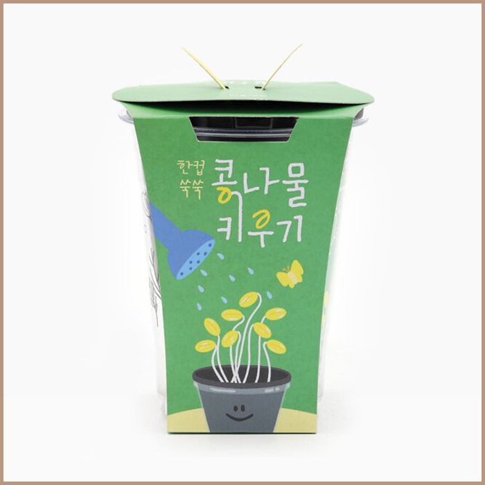 한컵쑥쑥 콩나물 키우기