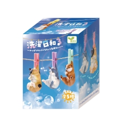 Perfect Day for Laundry 3