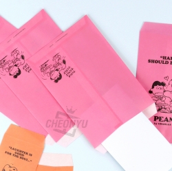 Snoopy Envelope 2-Piece Set