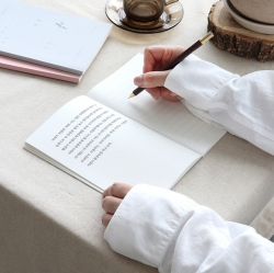 A transcriprtion note - The Wings