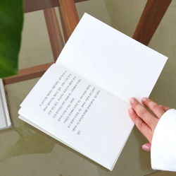 A transcriprtion note - The Wings