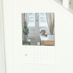 2026 Life Flow Wall Calendar