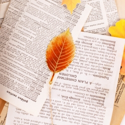 Leaf Bookmark_Zelkova