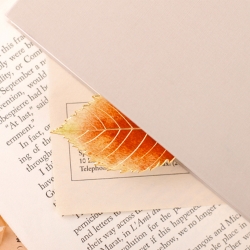 Leaf Bookmark_Zelkova