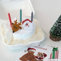 Rainbow Elementary Aurora Fireworks Show