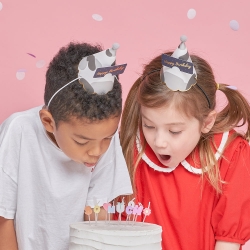 Party Crown Hats - I Love Dalmatians