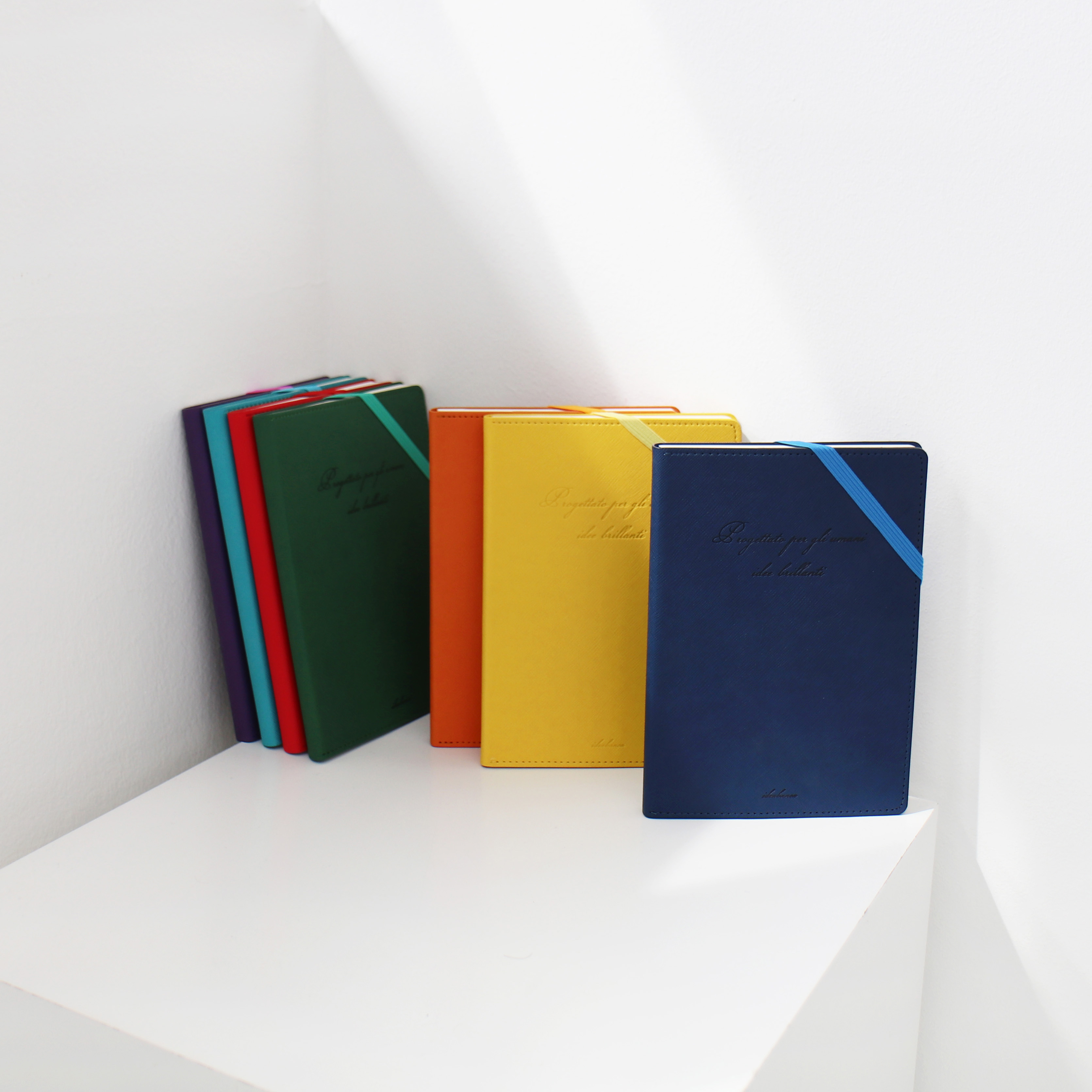 My Day Hard Cover Strap Card Pocket End of Life Diary Note A5