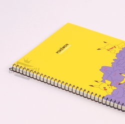 Pokémon Ditto Notebook, Random