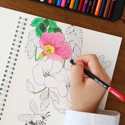 Color by Number Book ①