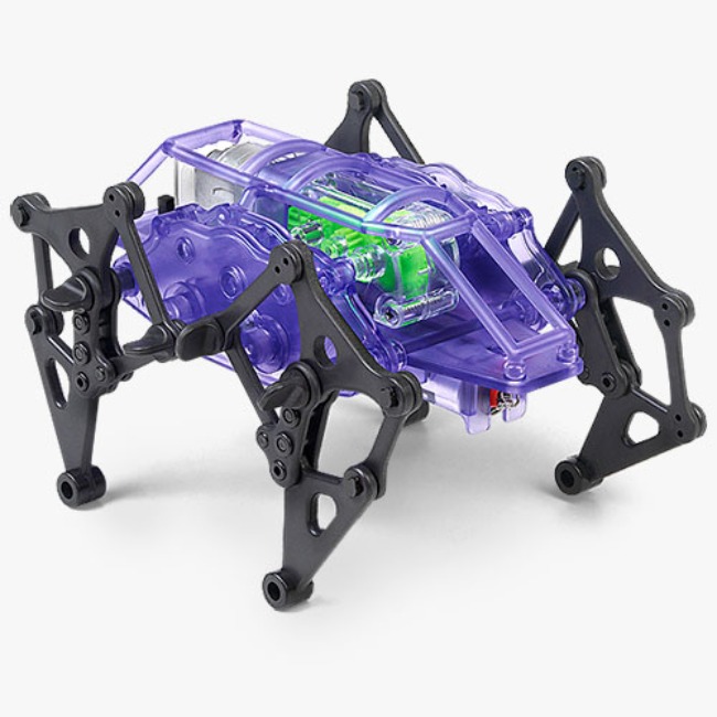 Quadruped Robot