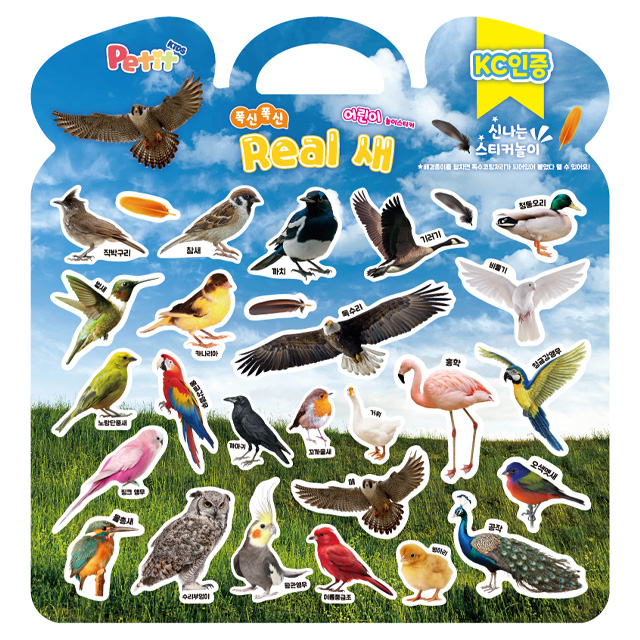 Fluffy Kids Play Sticker_Real Birds