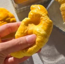 Savory Bakery Squishy (Random)