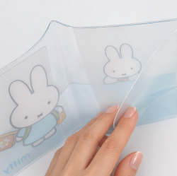 Bbangbbang’s Check-In Passport Case