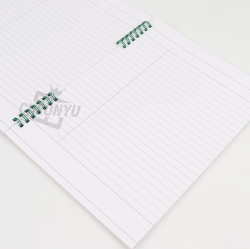 Doraemon Double Ring Campus Notebook, Random