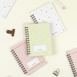 [Undated]Bits and pieces Mini diary