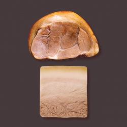 Ban8 Mart Bossam/Jokbal Memo-it