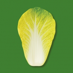 Ban8 Mart Gangwon-do Napa Cabbage Memo-it
