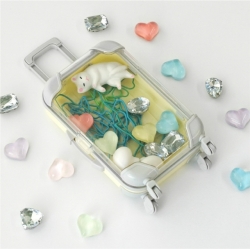 Color miniature carrier case accessory storage box