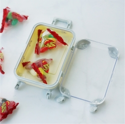 Color miniature carrier case accessory storage box