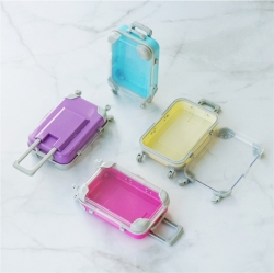Color miniature carrier case accessory storage box