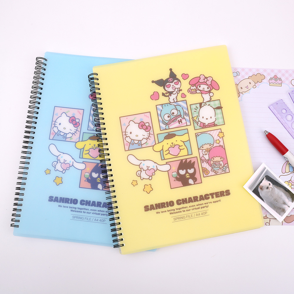 Sanrio Spring File 40P