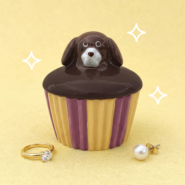 Cupcake Storage Case