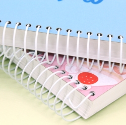 Molang Wireless Notebook - 100 Sheets (Random)